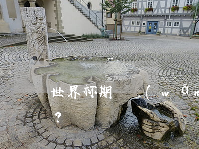 世界杯期間網(wǎng)絡賭球違法嗎？